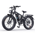 WWE Factory Wholesale Ridstar 48V 23Ah Electric Bike, Electric Bike, Fat Tire Dual Motor Electric Freight Bike, Electric Bike fo
