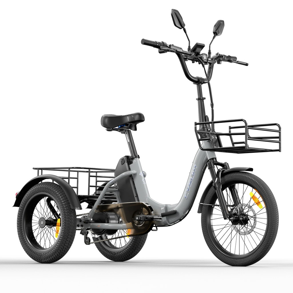 Electric Tricycle 750W Motor 48V 20AH Remover Lithium Battery Foldable 3 Wheel Electric Bike 16 Inch Fat Tire 100km Ebike