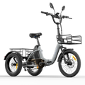Electric Tricycle 750W Motor 48V 20AH Remover Lithium Battery Foldable 3 Wheel Electric Bike 16 Inch Fat Tire 100km Ebike