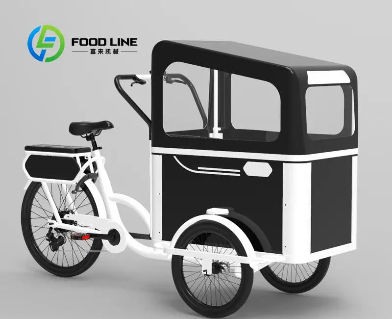 Electric Pedal 3 Wheels Cargo Bike with Rear Motor for Carrying Pets Electrical Bicycles