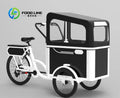 Electric Pedal 3 Wheels Cargo Bike with Rear Motor for Carrying Pets Electrical Bicycles