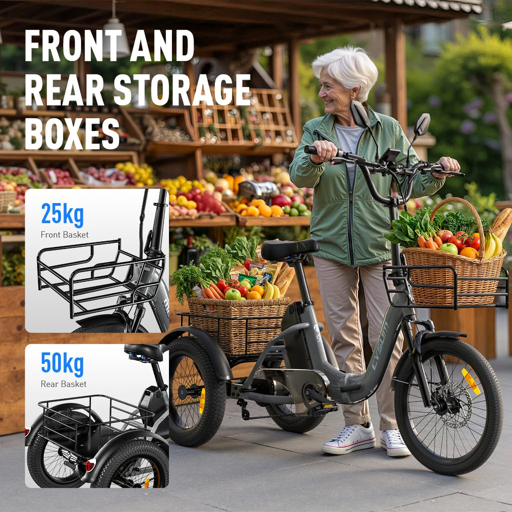 Electric Tricycle 750W Motor 48V 20AH Remover Lithium Battery Foldable 3 Wheel Electric Bike 16 Inch Fat Tire 100km Ebike