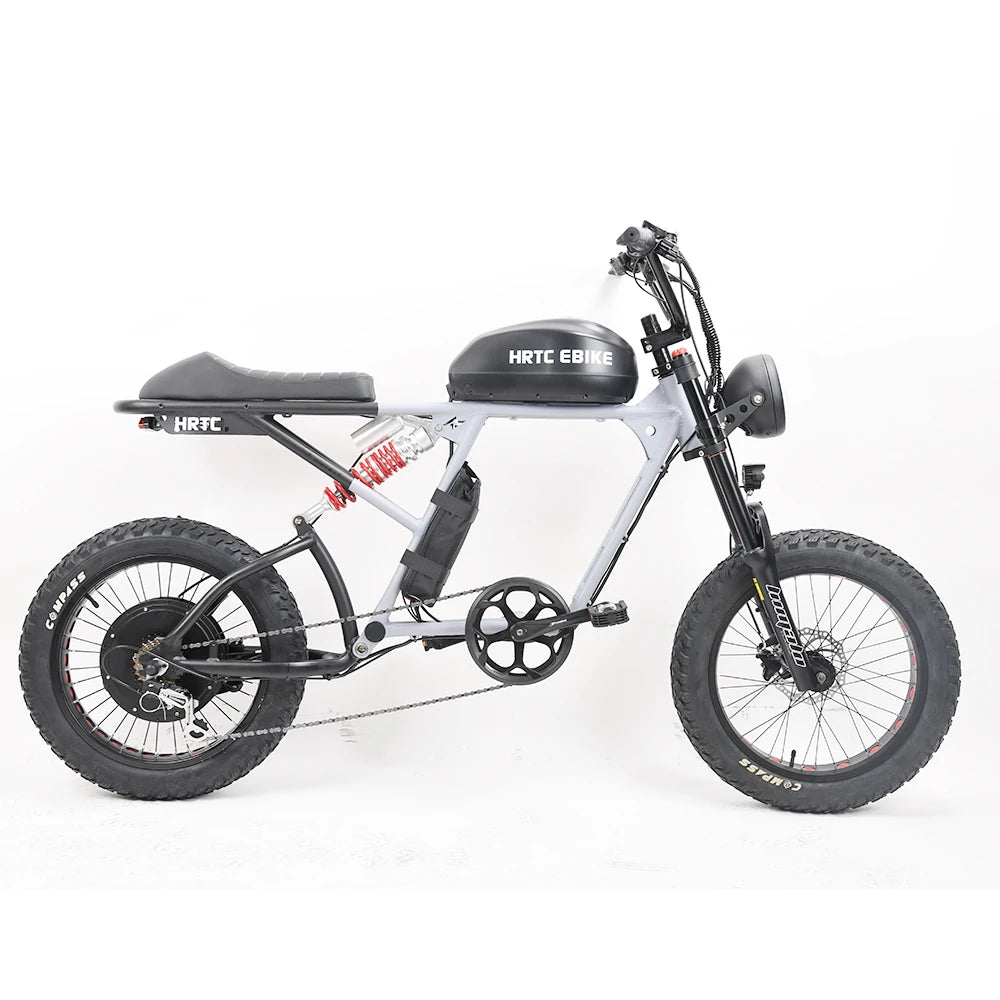 Electric Retro Motorcycle with Soft Tail, High Power Motor, Off-Road Motorbike, Off-road Bicycle, 20 Super Ebike, 48V, 1500W